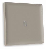 Клавиша для выключателя одноклавишного c подсветкой Ambrella Volt ALFA AP3620 в Нижнем Новгороде
