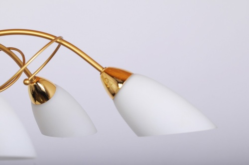 Подвесная люстра Doge Luce 169 169L06FO в Нижнем Новгороде фото 2