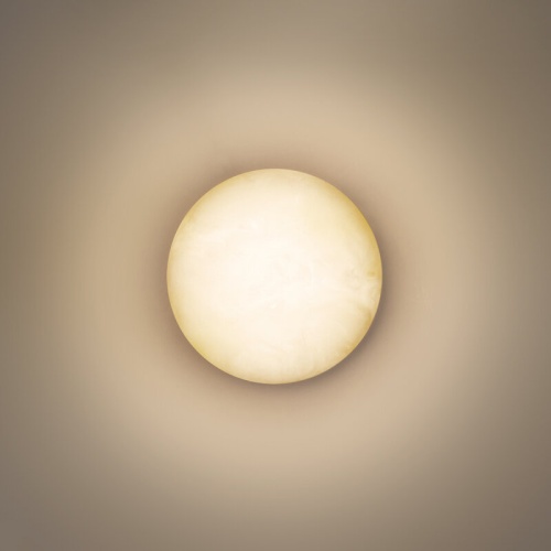 Накладной светильник Odeon Light NATURE 7190/6WL в Нижнем Новгороде фото 6