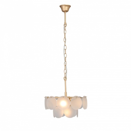 Подвесная люстра Vitaluce V5888 V5888-8/4 в Нижнем Новгороде фото 3