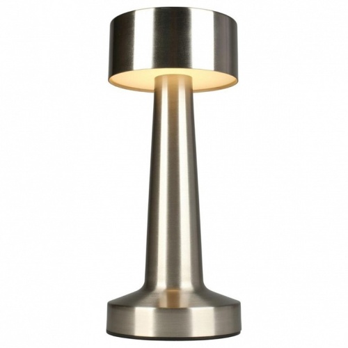 Настольная лампа декоративная Aployt Perrayn APL.671.14.01 в Нижнем Новгороде