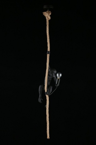 Подвесной светильник Aployt Magali APL.309.16.01 в Можайске фото 5