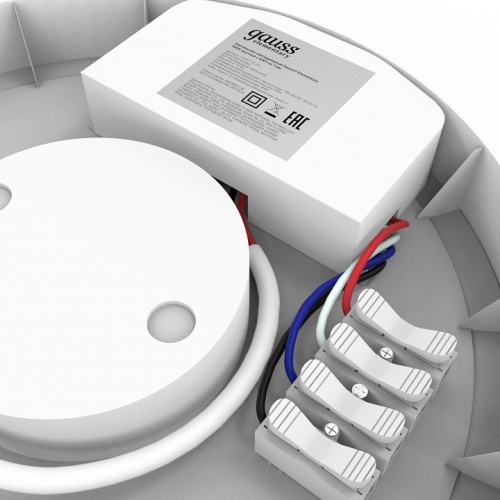 Накладной светильник Gauss  126411212A в Нижнем Новгороде фото 2