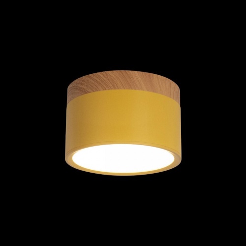 Накладной светильник Loft it Grape 10162 Yellow в Нижнем Новгороде фото 2