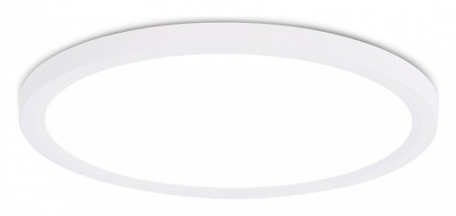 Накладной светильник Ambrella Light FZ FZ1909 в Нижнем Новгороде