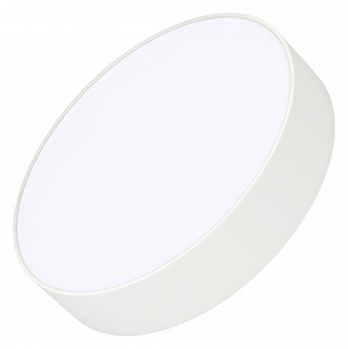 Накладной светильник Arlight RONDO 022233(2) в Нижнем Новгороде