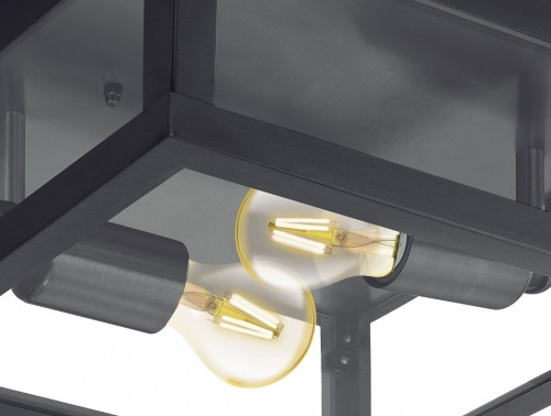 Накладной светильник Eglo Alamonte 1 94832 в Нижнем Новгороде фото 3