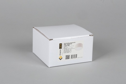 Накладной светильник Omnilux Abano OML-103309-12 в Нижнем Новгороде фото 4