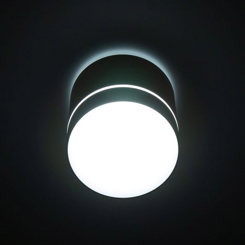 Накладной светильник Citilux Борн CL745020N в Соколе фото 12