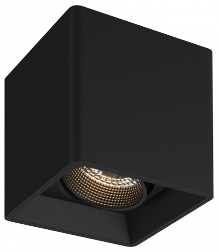 Накладной светильник Denkirs DK3030 DK3080-BK в Нижнем Новгороде фото 4