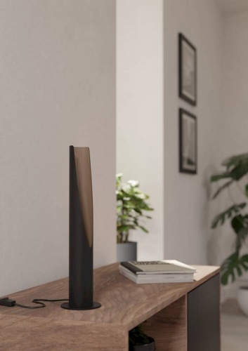 Настольная лампа декоративная Eglo BARBOTTO 901734 в Нижнем Новгороде фото 3