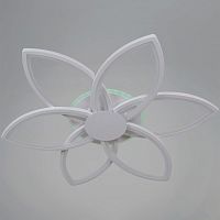 Потолочная люстра 09877-0.3-06B WH (RGB) в Нижнем Новгороде