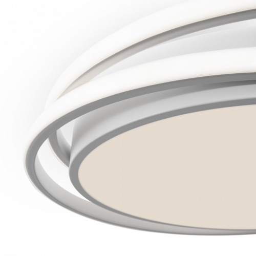 Накладной светильник Freya  FR10031CL-L98W в Нижнем Новгороде фото 2