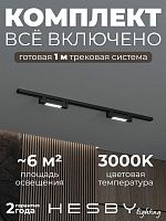 Комплект трековый Hesby Lighting №1 однофазная накладная Skylite HSBL_kompl_S001_NI1B3K в Нижнем Новгороде