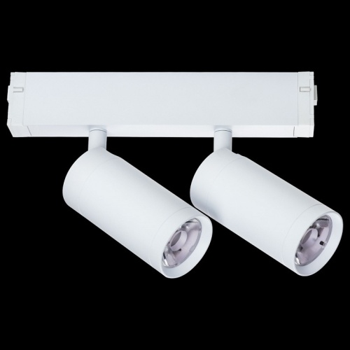 Светильник на штанге Lightstar Teta 205506 в Нижнем Новгороде фото 3