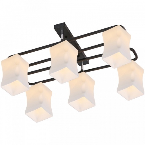 Потолочная люстра 06595-0.3-06 в Нижнем Новгороде фото 5