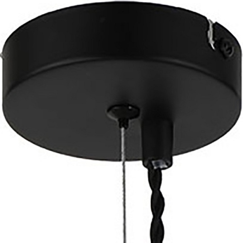 Подвесной светильник Lussole Brooks LSP-8246 в Нижнем Новгороде фото 6