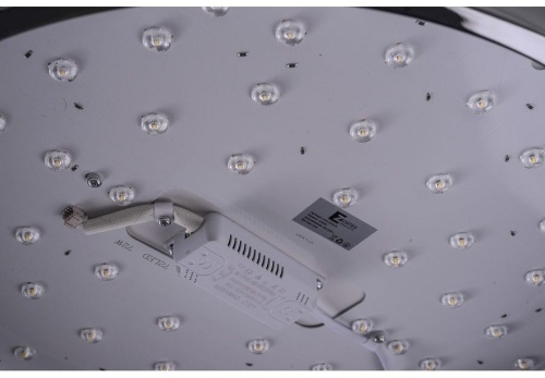 Накладной светильник Zortes Gimpel ZRS.1209.15 в Нижнем Новгороде фото 4