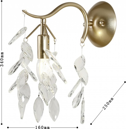 Бра Favourite Brillo 3003-1W в Нижнем Новгороде фото 4