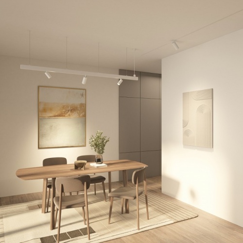 Светильник на штанге Denkirs SIMPLE SPOT DK8110-WH в Нижнем Новгороде фото 7