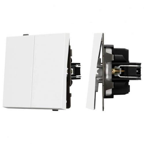 Выключатель двухклавишный без рамки Arlight SWT 054058 в Нижнем Новгороде