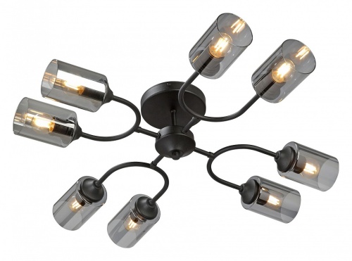 Потолочная люстра Vitaluce V2823 V2823-1/8PL в Нижнем Новгороде