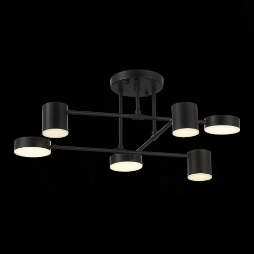 Потолочная люстра EVOLUCE Nobel SLE201042-06 в Нижнем Новгороде фото 8