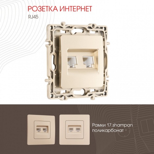 Розетка Ethernet RJ-45 без рамки Arte Milano am-217 217.45-2.shampan в Нижнем Новгороде фото 4