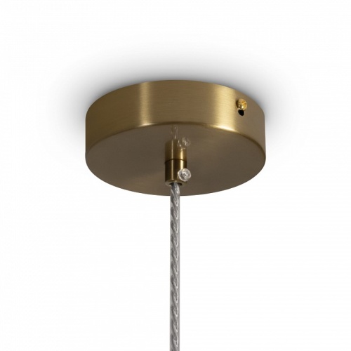 Подвесной светильник Freya Sylvia FR2056PL-01GR в Нижнем Новгороде фото 2