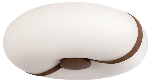 Накладной светильник Loft it Bolina 10473 в Нижнем Новгороде