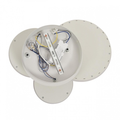 Накладной светильник Lumion LEDIO 8380/60CL в Нижнем Новгороде фото 3