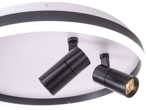 Накладной светильник Zortes Raizy ZRS.1888.01 в Нижнем Новгороде фото 2