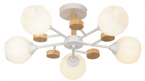 Люстра на штанге Rivoli Chiara Б0068452 в Нижнем Новгороде фото 12