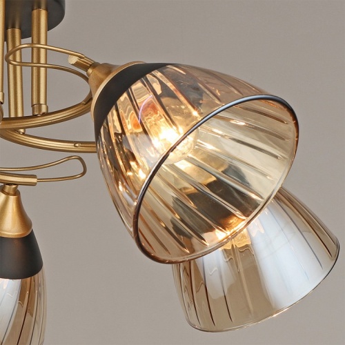 Потолочная люстра 04619-0.3-05 в Нижнем Новгороде фото 3