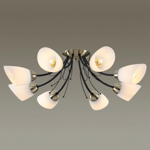 Потолочная люстра Lumion Eliana 4592/8C в Нижнем Новгороде фото 3