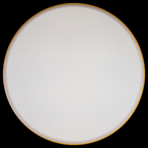 Накладной светильник Loft it Axel 1 10002/24 Yellow в Нижнем Новгороде фото 2