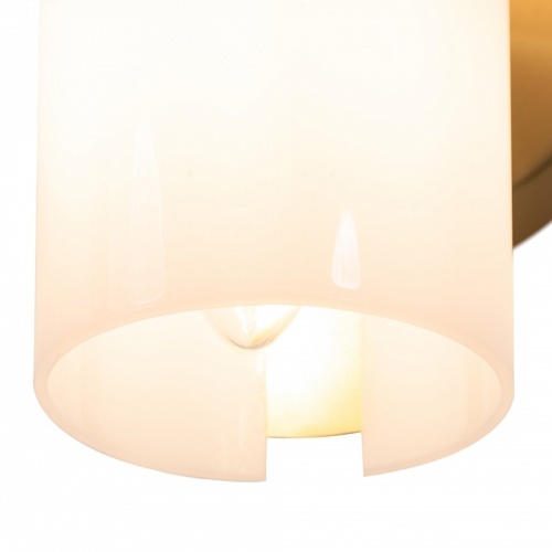 Бра Freya Fiore FR5368WL-02BS в Нижнем Новгороде фото 8