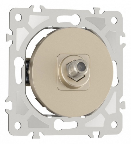 ТВ-розетка без рамки Arte Milano am-202 202.42-1.shampan в Нижнем Новгороде