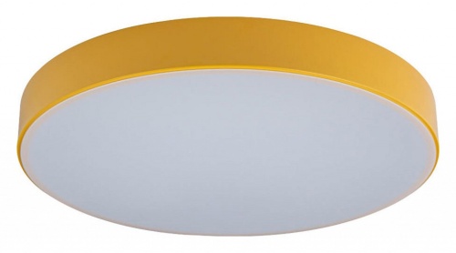 Накладной светильник Loft it Axel 1 10002/24 Yellow в Нижнем Новгороде фото 6