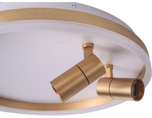 Накладной светильник Zortes Raizy ZRS.1888.02 в Нижнем Новгороде фото 10