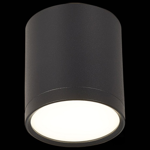 Накладной светильник ST-Luce Rene ST113.442.05 в Кропоткине фото 2