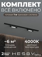 Комплект трековый Hesby Lighting №1 однофазная накладная Skylite HSBL_kompl_S001_NI1B4K в Нижнем Новгороде