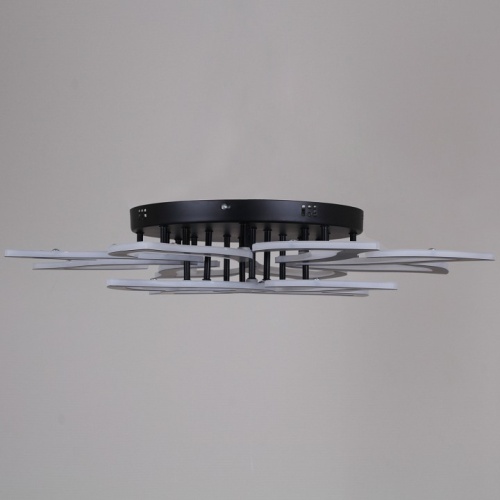 Люстра на штанге  30150-0.3-8+4 BK в Нижнем Новгороде фото 5