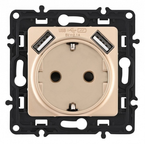 Розетка с заземлением и со шторкой и 2хUSB, без рамки Arte Milano am-217 217.47-1.shampan в Нижнем Новгороде