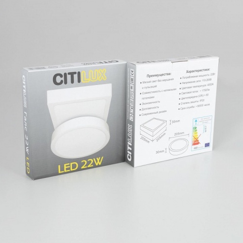 Накладной светильник Citilux Галс CL5522N в Чайковском фото 4