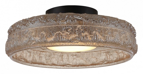 Накладной светильник ST-Luce ANTIKE SL6143.422.01 в Нижнем Новгороде фото 5