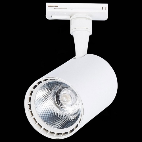 Светильник на штанге ST-Luce Cami ST351.546.15.36 в Нижнем Новгороде фото 2