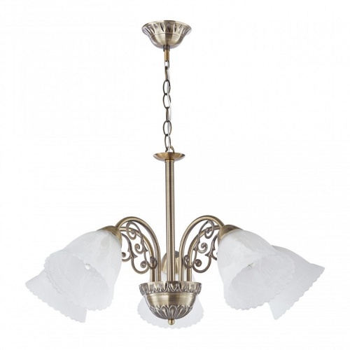 Подвесная люстра Arte Milano Amalfi-8544 338544/5 AB в Нижнем Новгороде фото 8