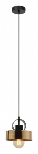 Подвесной светильник Lussole Gilpin LSP-8567 в Белово фото 2