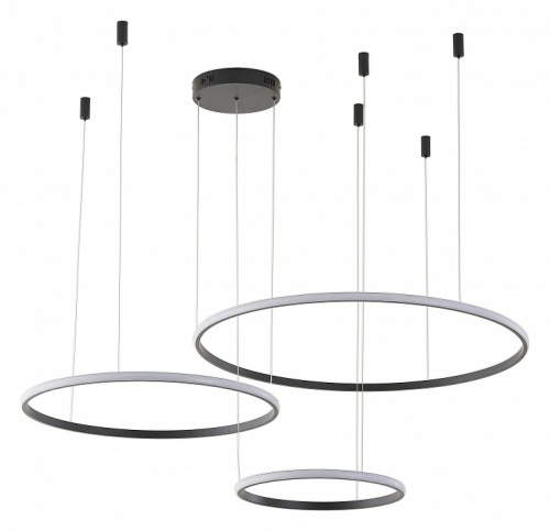 Подвесной светильник Zortes Ringolight ZRS.33320.120F в Нижнем Новгороде фото 2